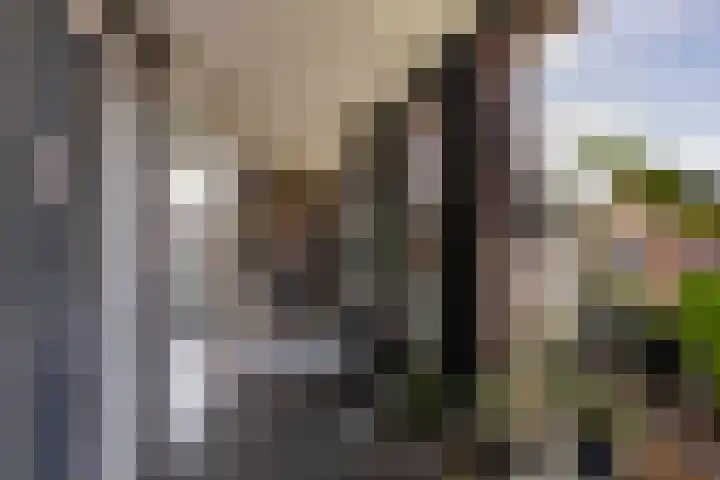Bickerswerf 48 Amsterdam thumbnail 34