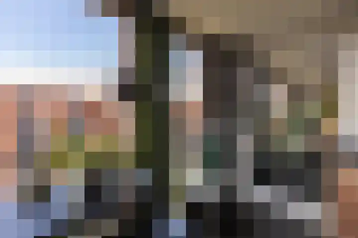 Bickerswerf 48 Amsterdam thumbnail 35