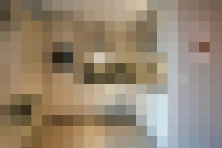 Biddlestraat 8 Sittard thumbnail 10