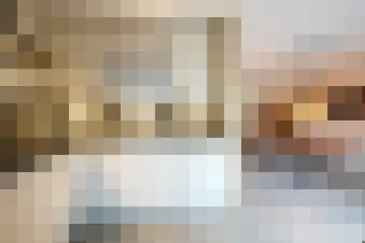 Biddlestraat 8 Sittard thumbnail 11