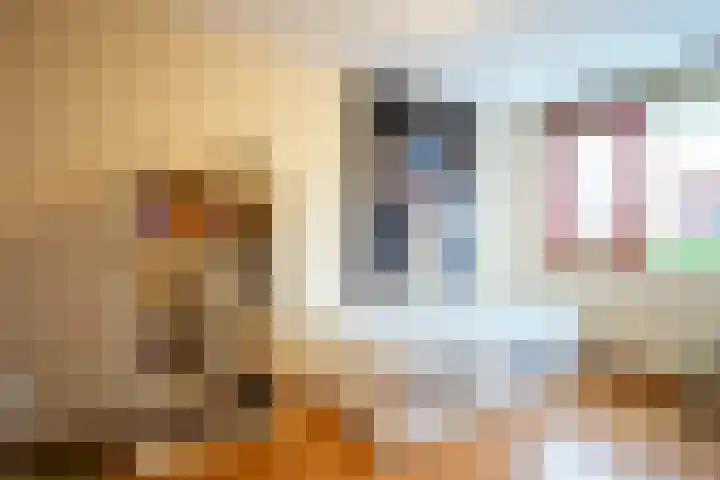 Biddlestraat 8 Sittard thumbnail 20