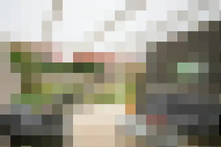 Biddlestraat 8 Sittard thumbnail 29