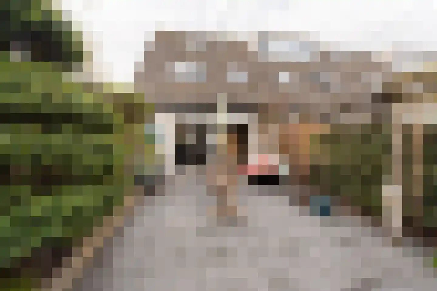 Bidloostraat 1 Haarlem thumbnail 20