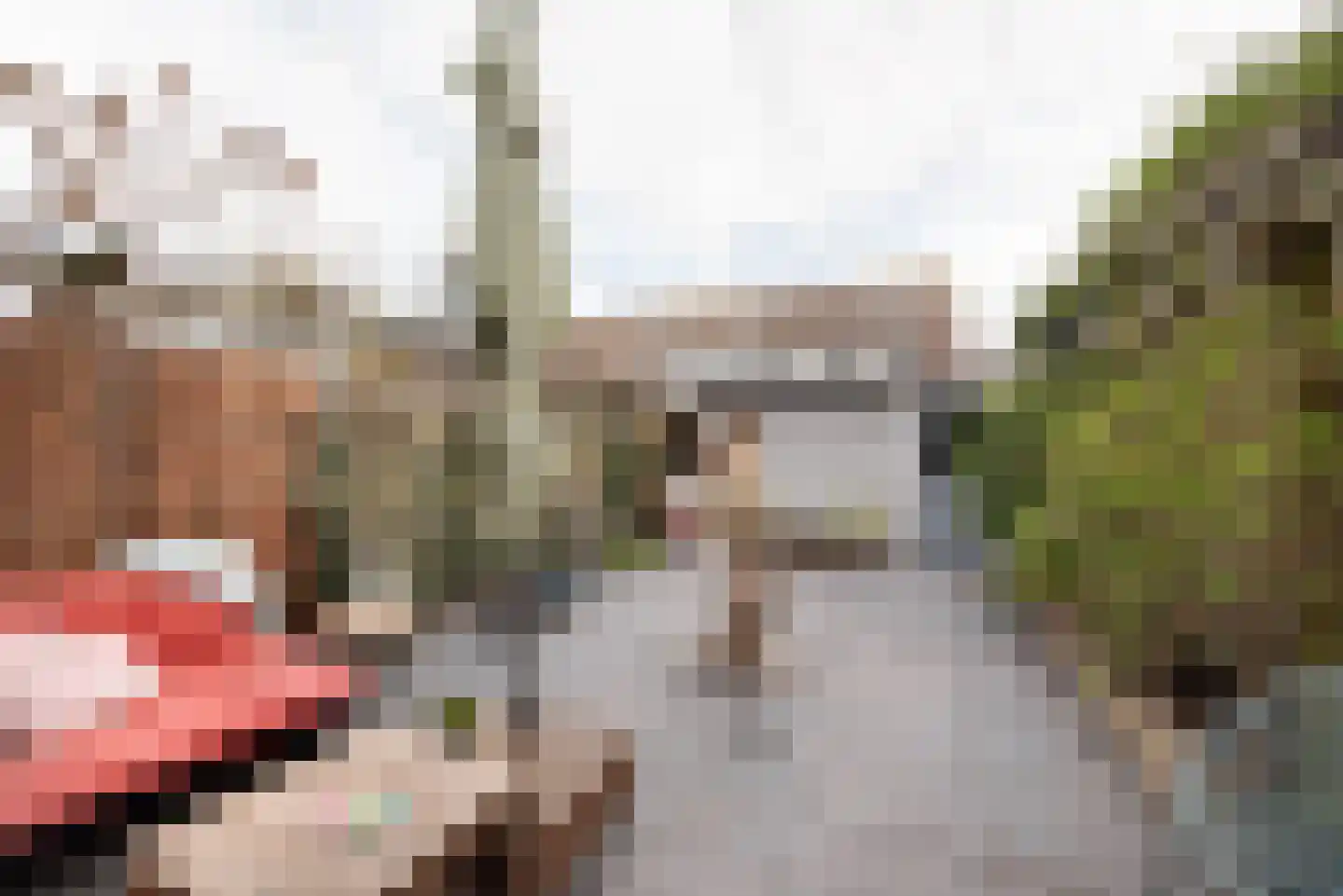 Bidloostraat 1 Haarlem thumbnail 21