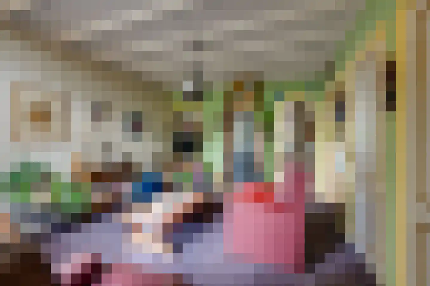 Bieberglaan 9 Breda thumbnail 12