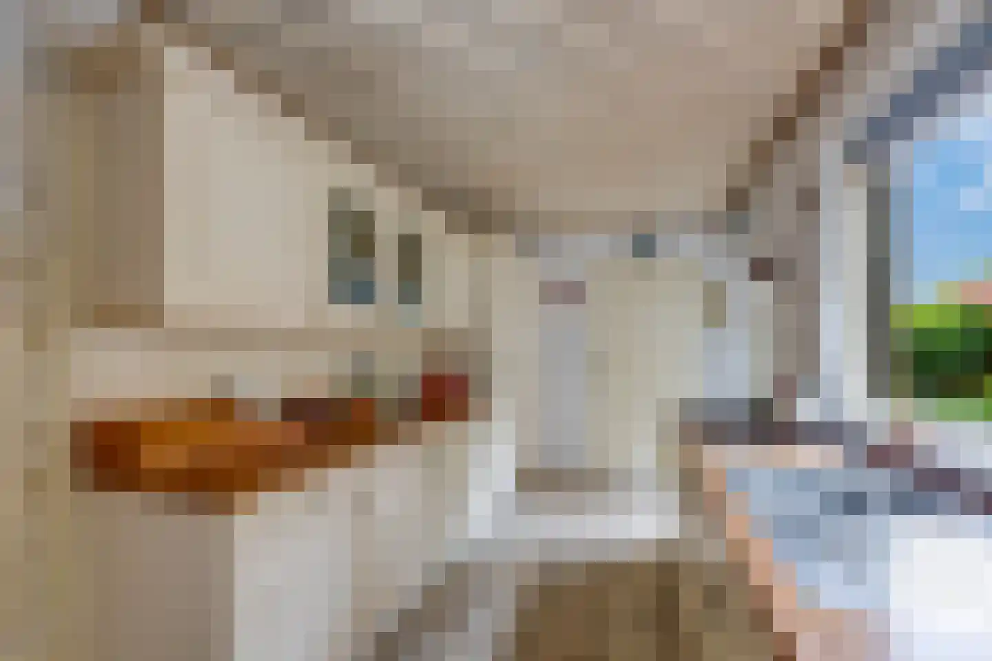 Bieberglaan 9 Breda thumbnail 17