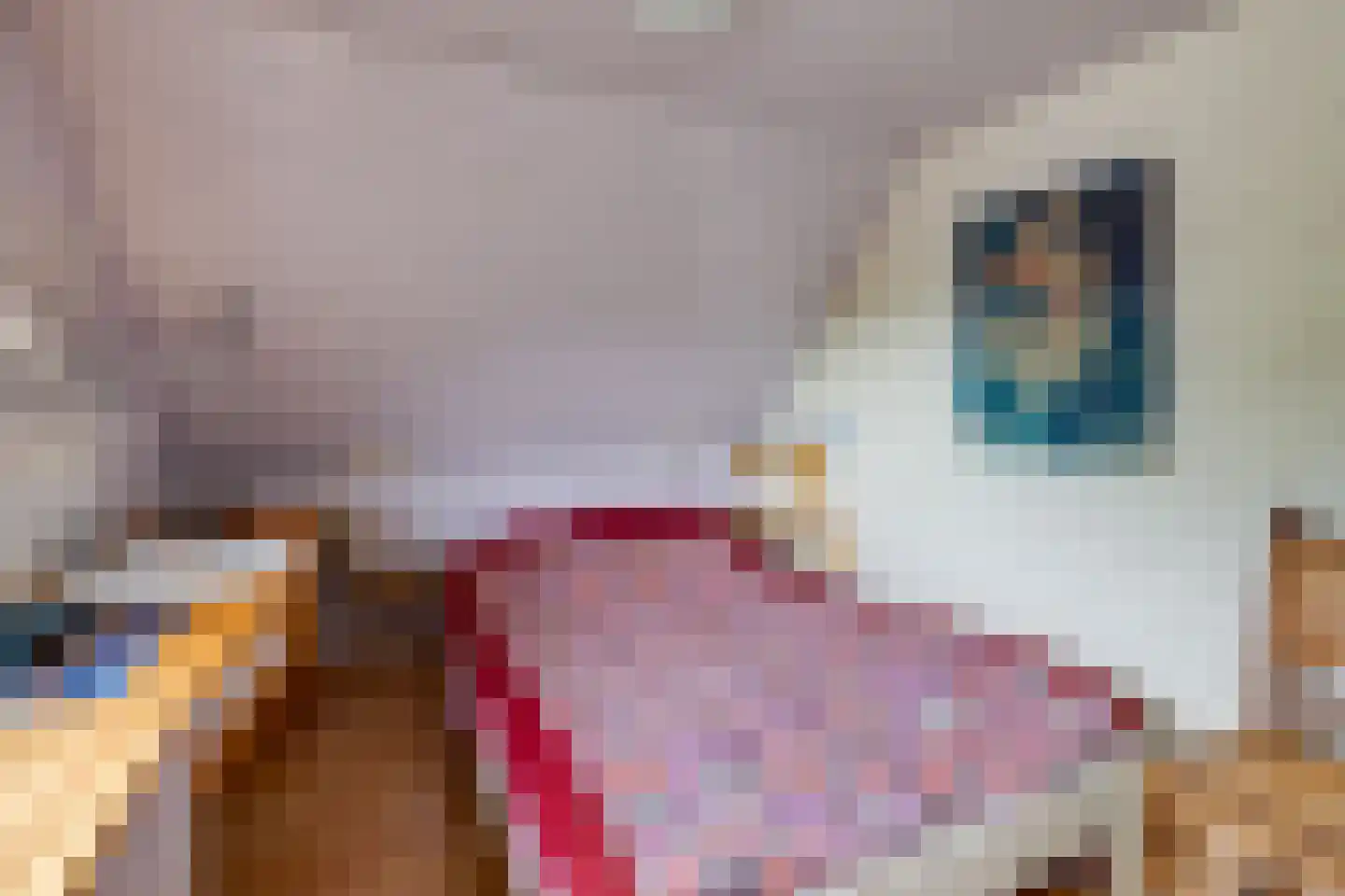 Bieberglaan 9 Breda thumbnail 21