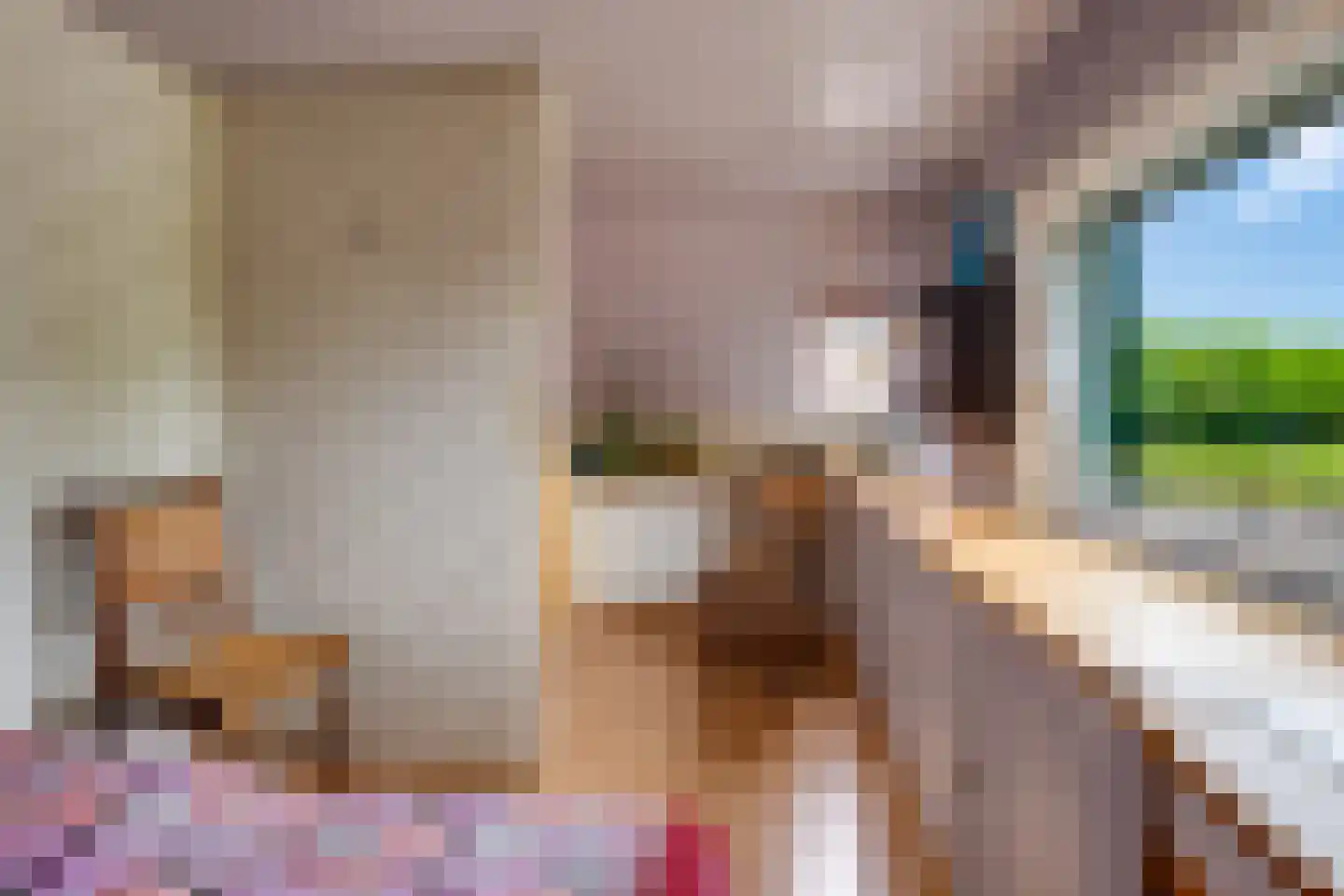 Bieberglaan 9 Breda thumbnail 22
