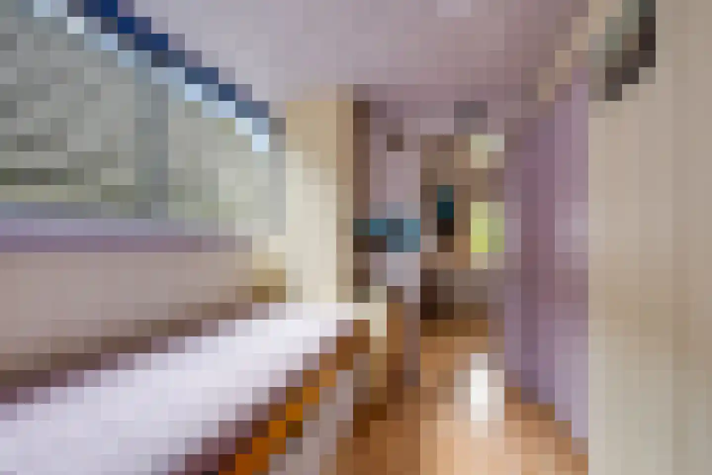Bieberglaan 9 Breda thumbnail 25