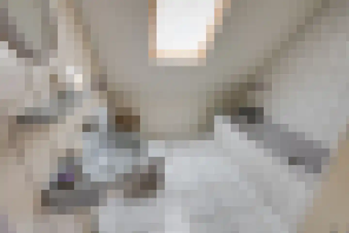 Bieberglaan 9 Breda thumbnail 28