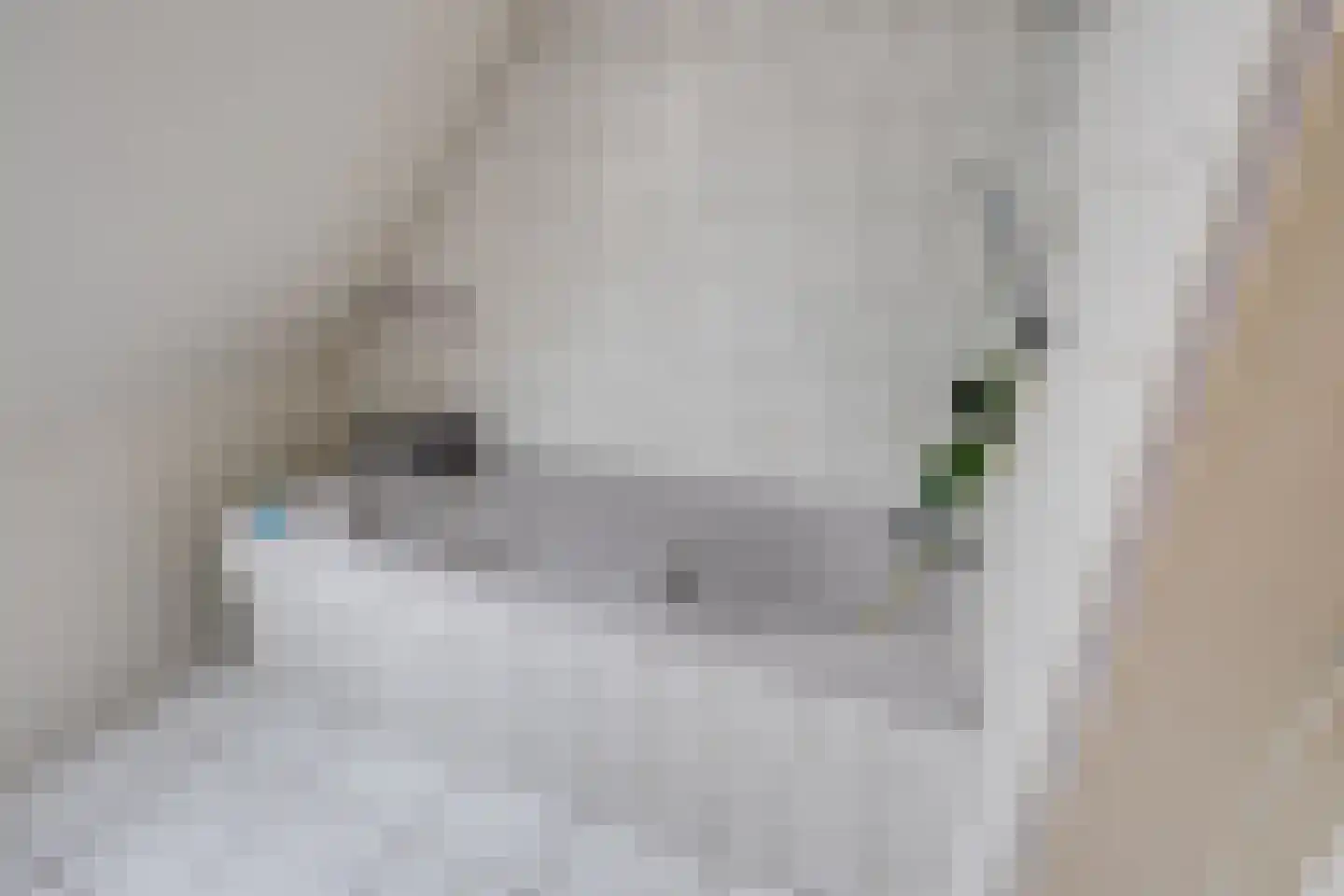 Bieberglaan 9 Breda thumbnail 29