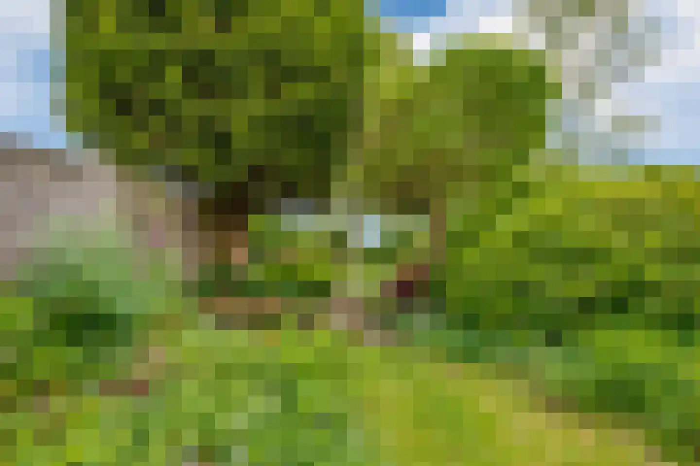 Bieberglaan 9 Breda thumbnail 31