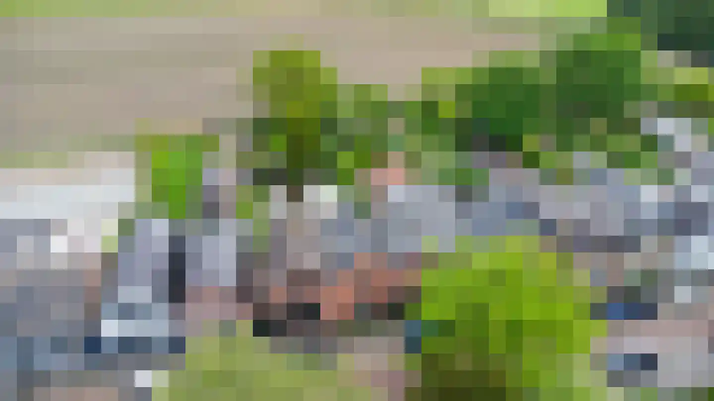 Bieberglaan 9 Breda thumbnail 4