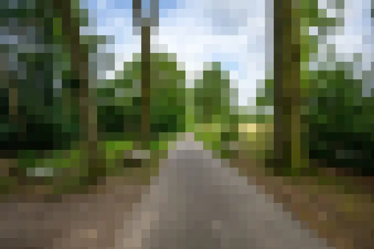 Bieberglaan 9 Breda thumbnail 46