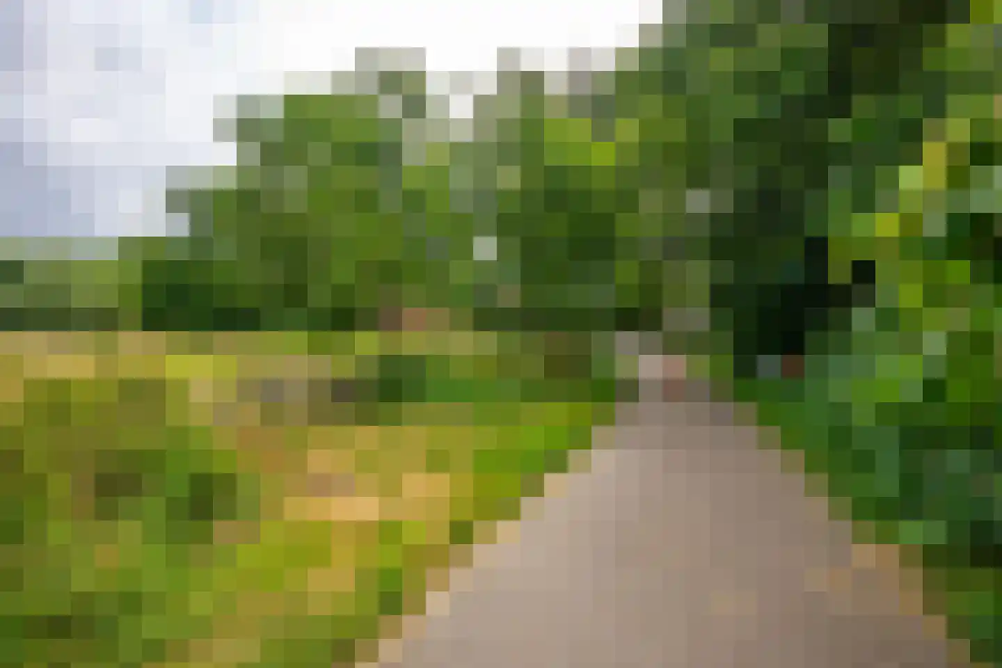 Bieberglaan 9 Breda thumbnail 49