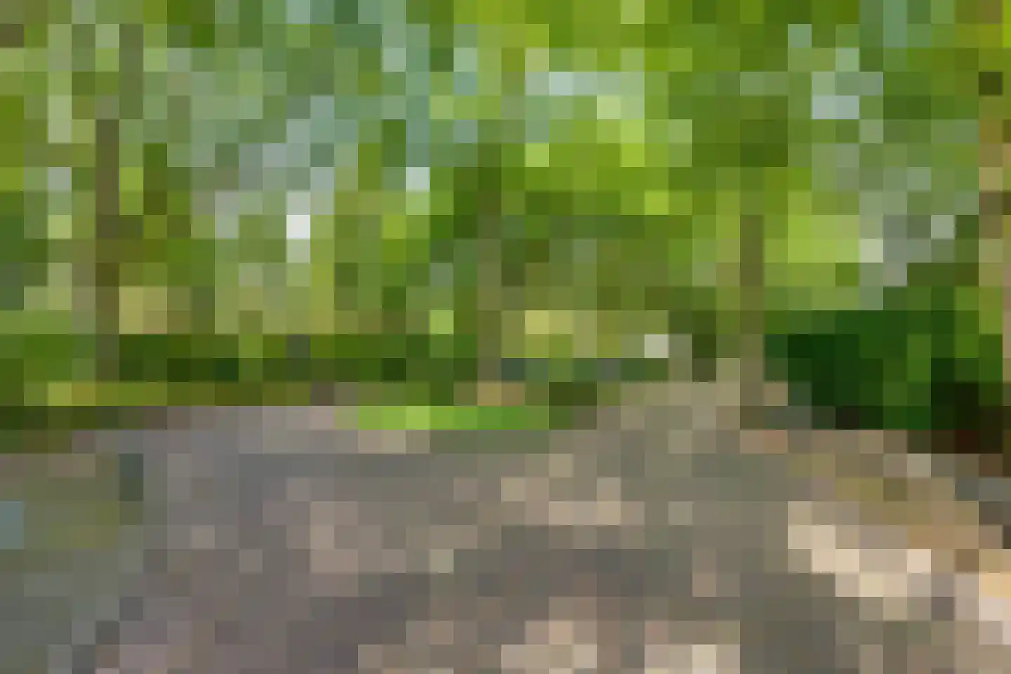Bieberglaan 9 Breda thumbnail 56