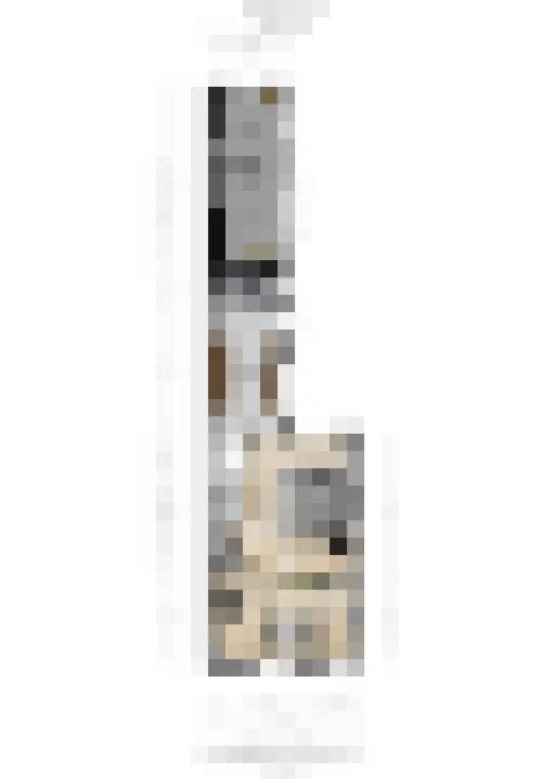 Bieberglaan 9 Breda thumbnail 57
