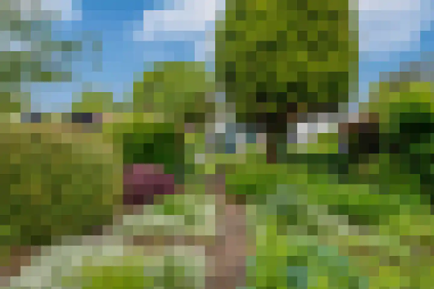 Bieberglaan 9 Breda thumbnail 6