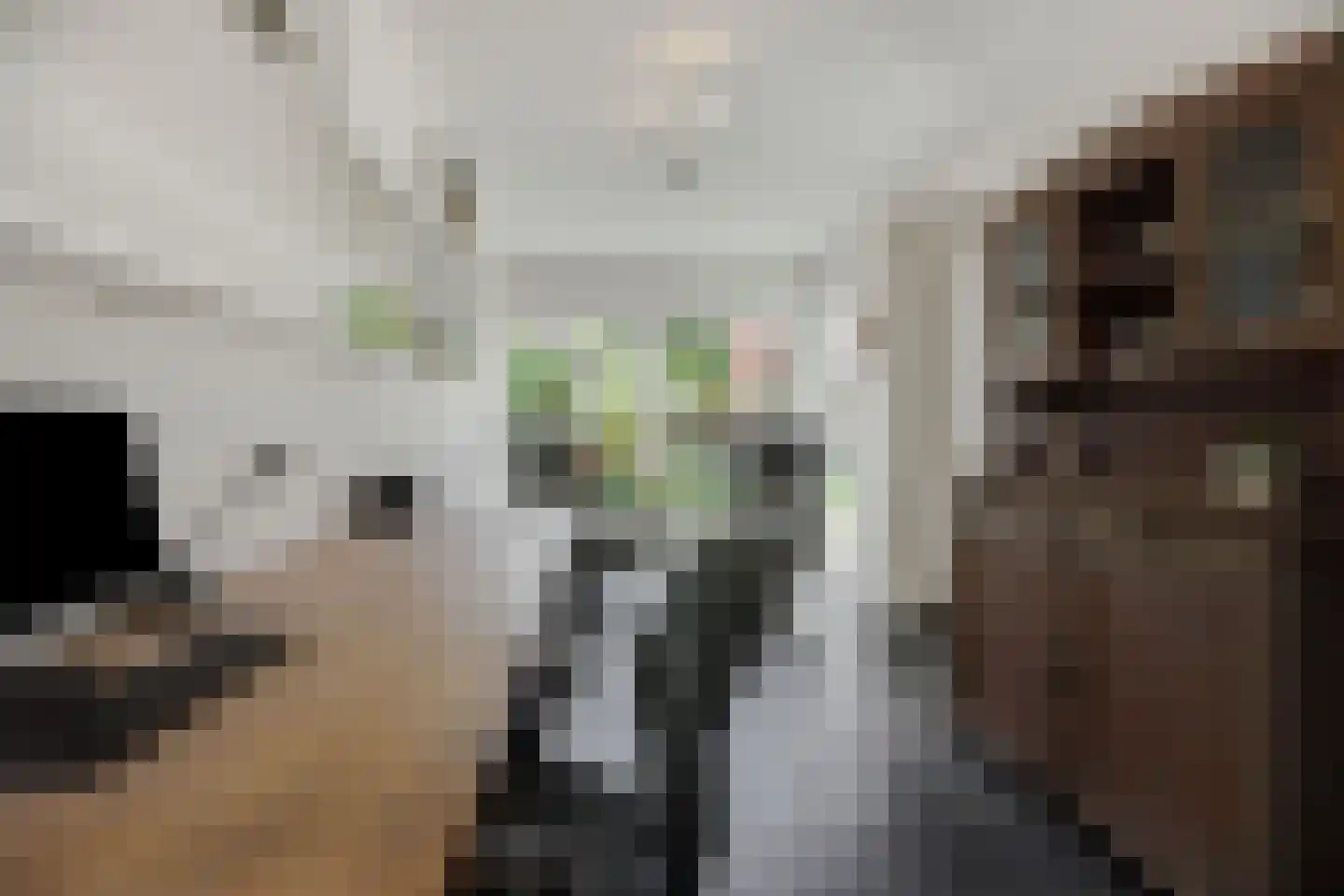 Biecamp 14 Heesch thumbnail 18