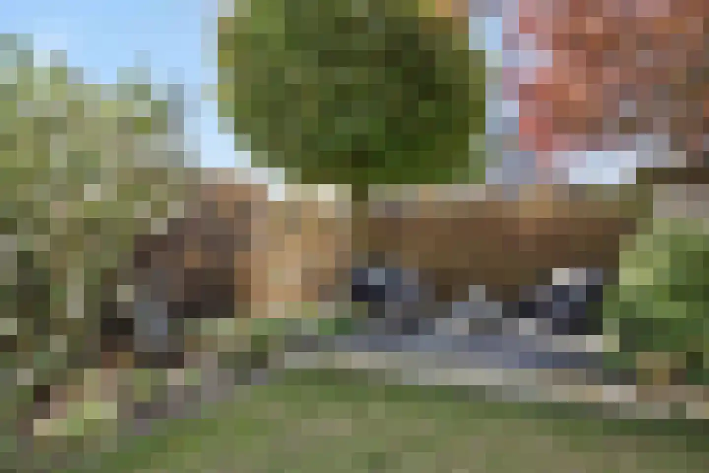 Biecamp 14 Heesch thumbnail 55