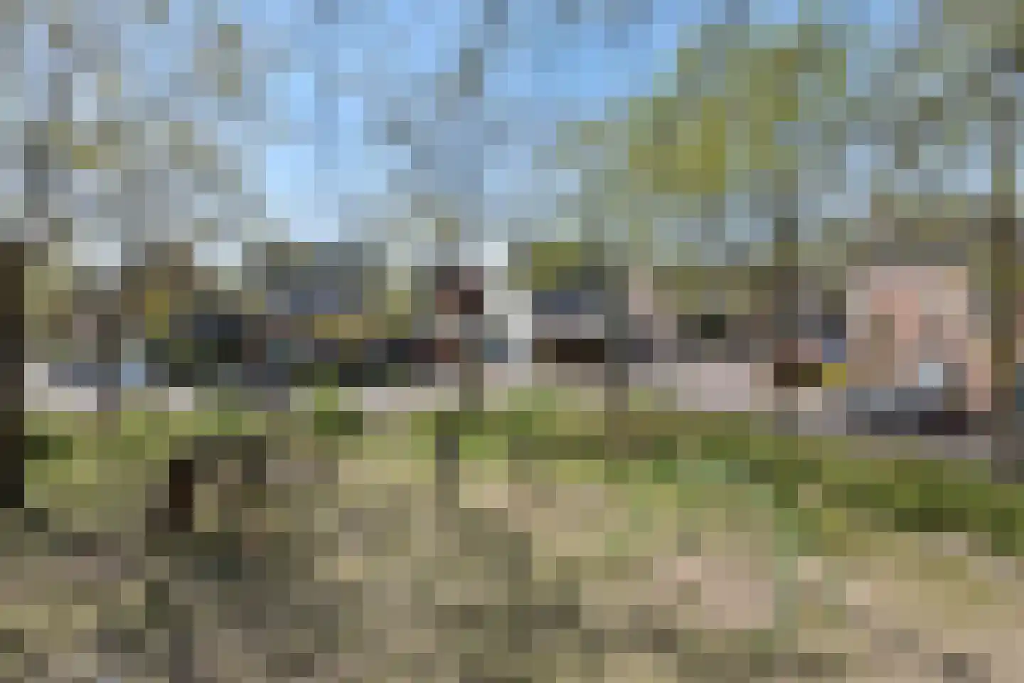 Biecamp 14 Heesch thumbnail 62