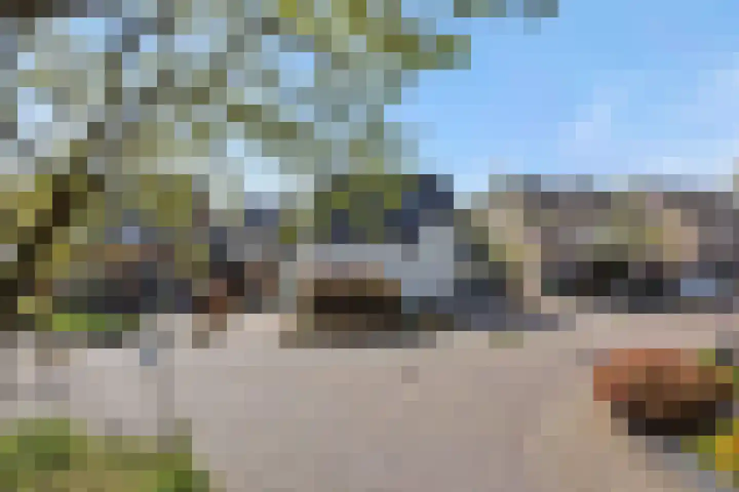 Biecamp 14 Heesch thumbnail 64
