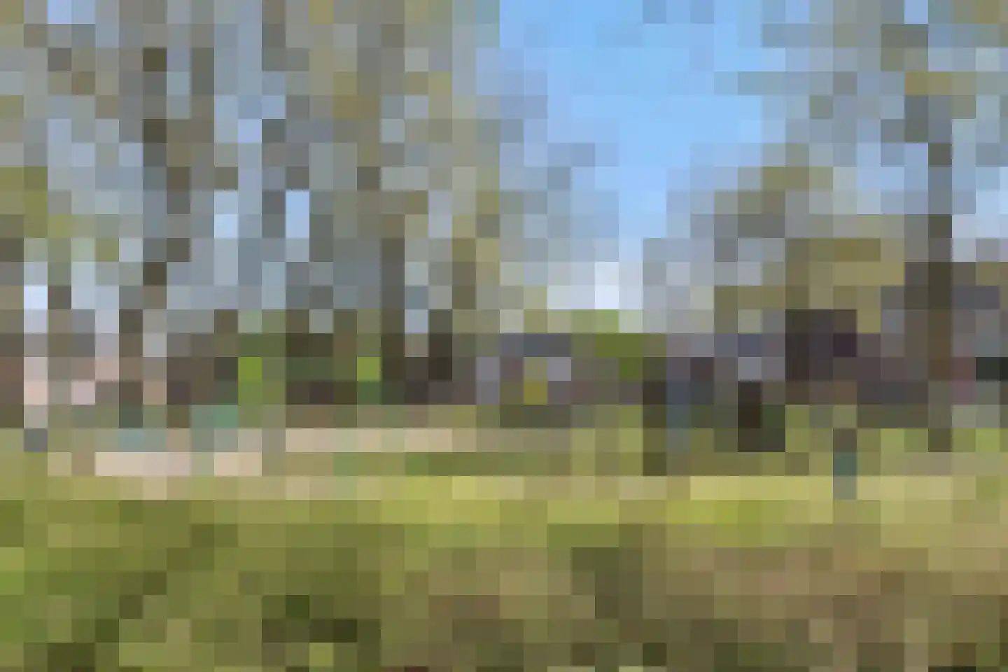 Biecamp 14 Heesch thumbnail 67