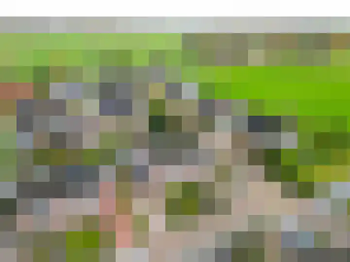 Biefkestreek 22 Muntendam thumbnail 32
