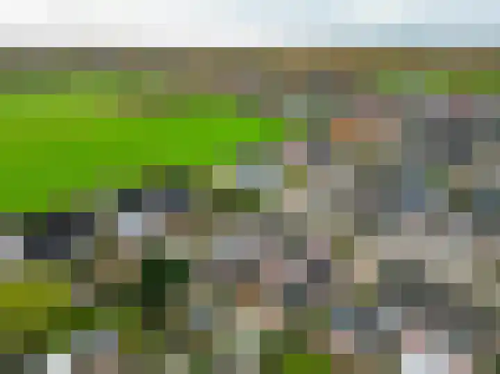 Biefkestreek 22 Muntendam thumbnail 33