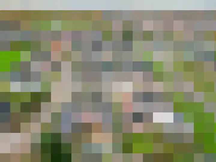 Biefkestreek 22 Muntendam thumbnail 34