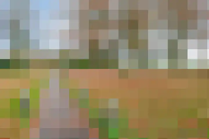 Biefkestreek 22 Muntendam thumbnail 35