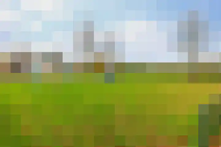 Biefkestreek 22 Muntendam thumbnail 36