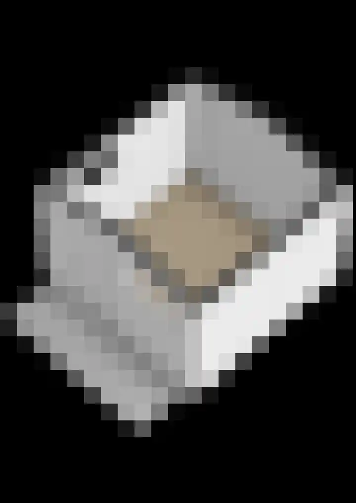 Biefkestreek 22 Muntendam thumbnail 44