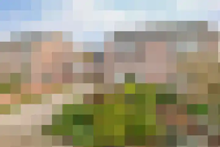 Biefkestreek 22 Muntendam thumbnail 6