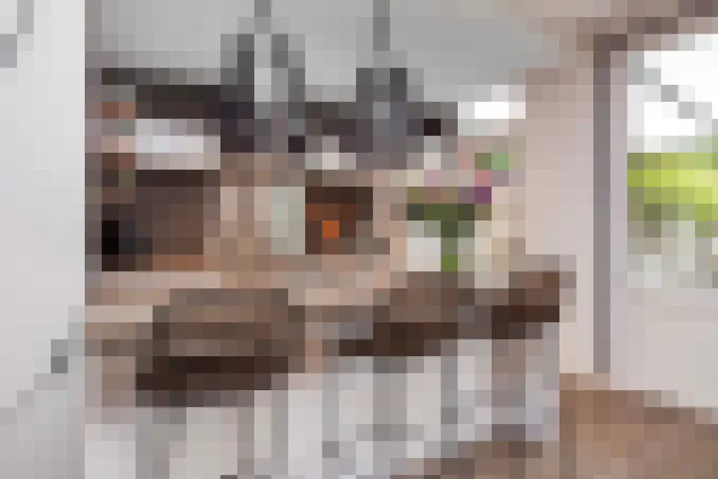 Bielalaan 2 Bilthoven thumbnail 12
