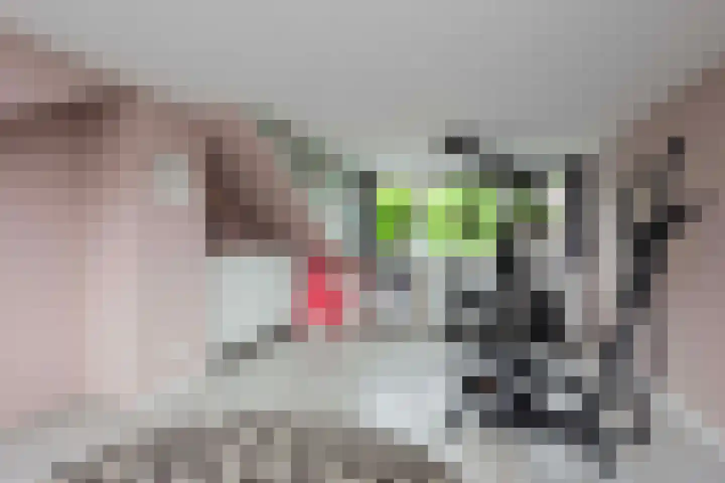 Bielalaan 2 Bilthoven thumbnail 36