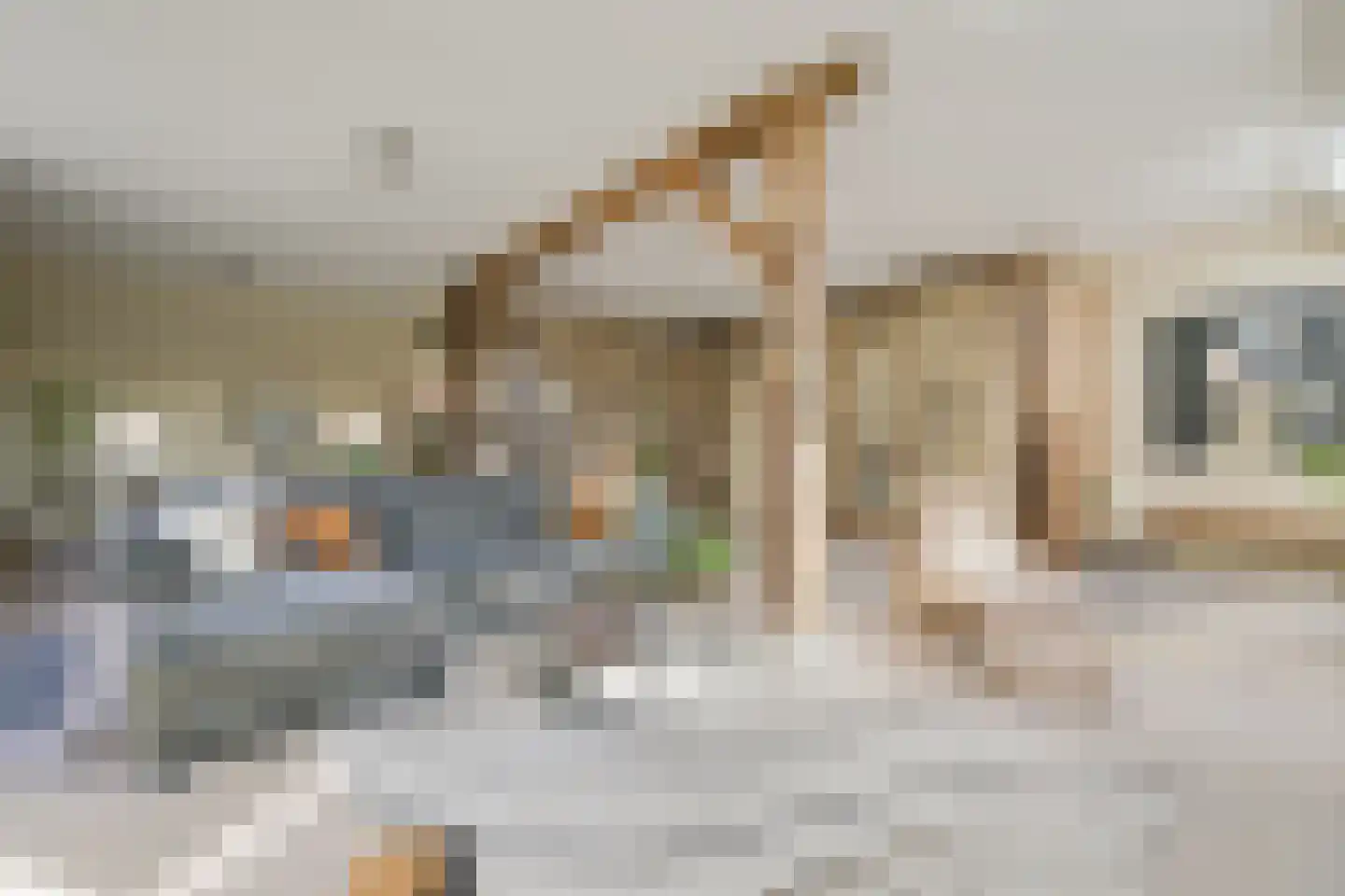 Bielemansdijk 28 Halle thumbnail 21