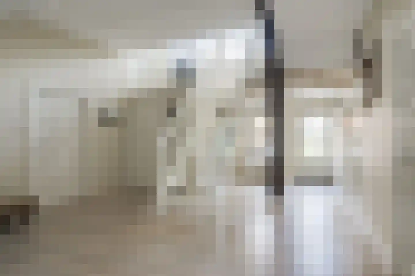 Bielemansdijk 28 Halle thumbnail 33