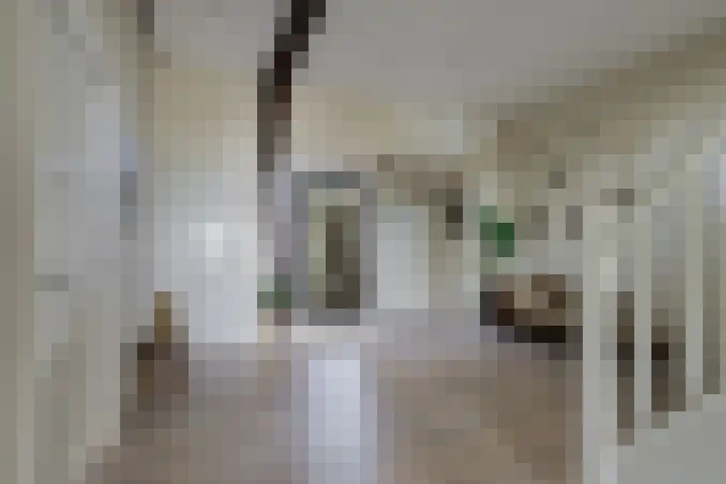 Bielemansdijk 28 Halle thumbnail 34
