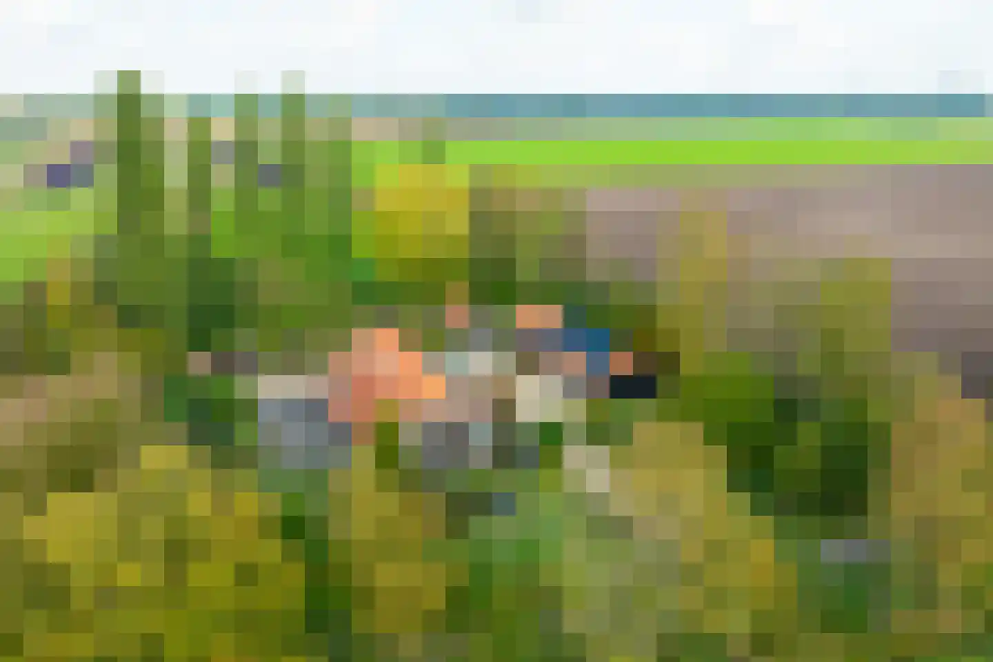 Bielemansdijk 28 Halle thumbnail 4