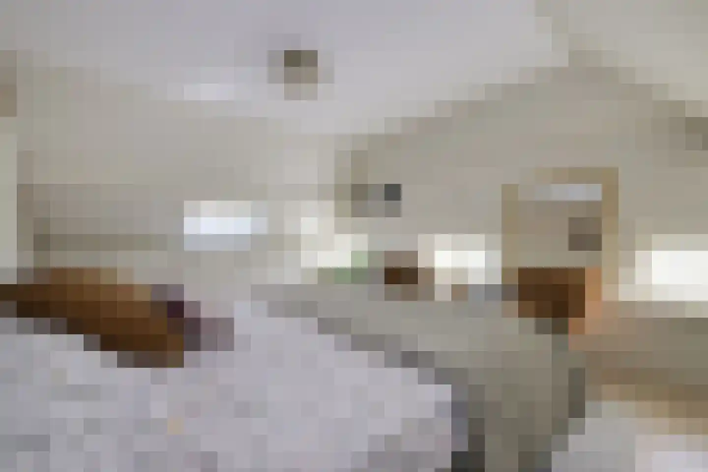 Bielemansdijk 28 Halle thumbnail 43