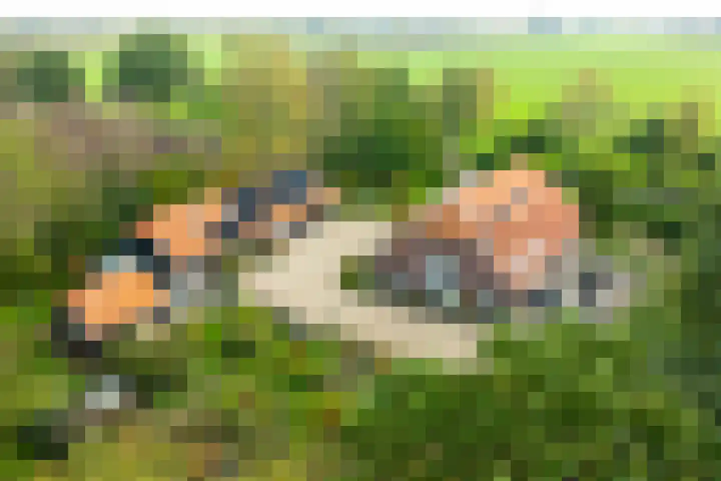 Bielemansdijk 28 Halle thumbnail 5