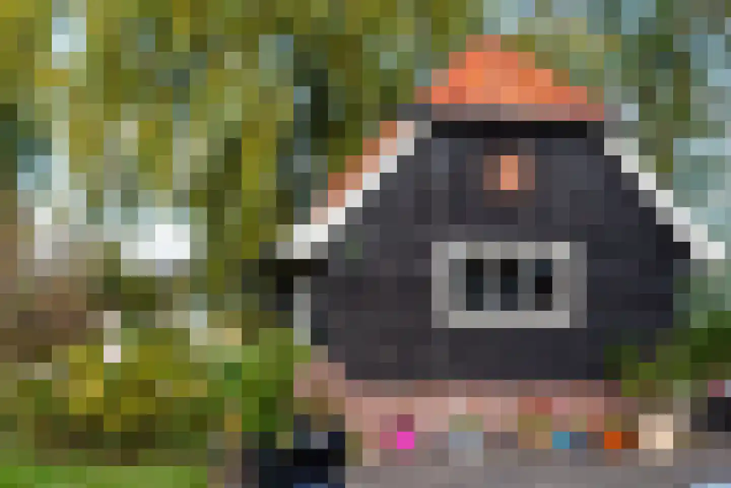 Bielemansdijk 28 Halle thumbnail 50