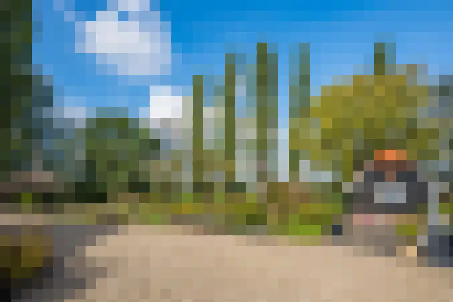 Bielemansdijk 28 Halle thumbnail 51