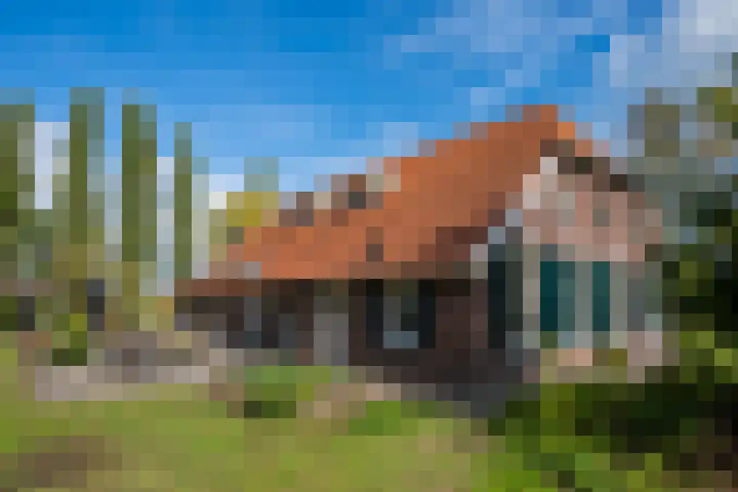 Bielemansdijk 28 Halle thumbnail 55