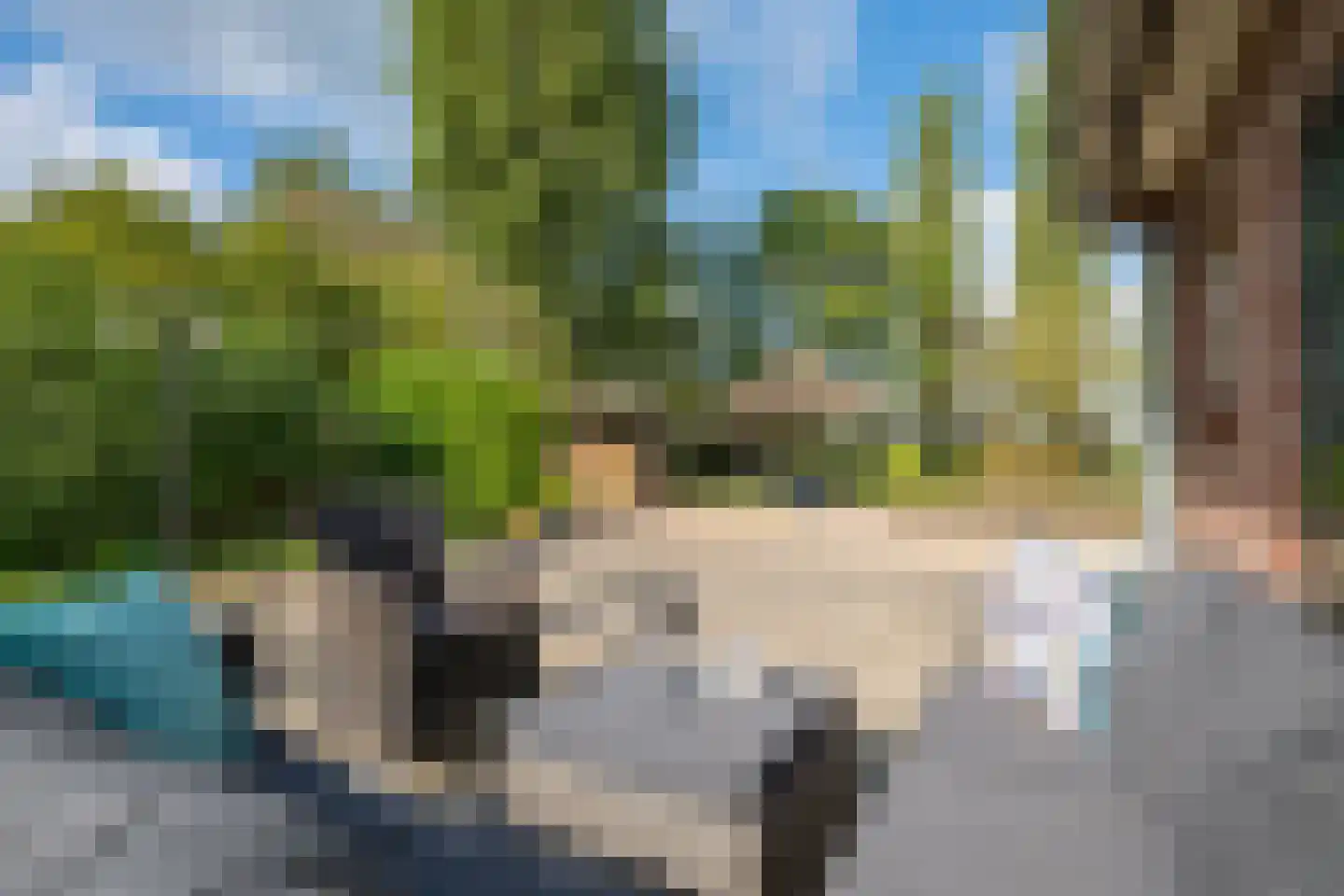 Bielemansdijk 28 Halle thumbnail 57