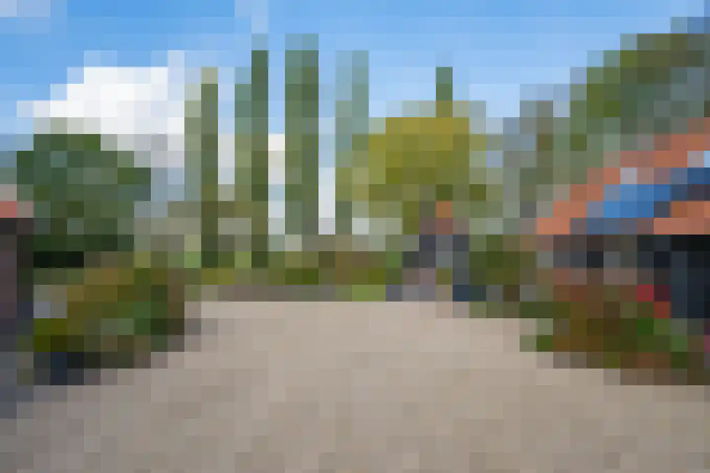 Bielemansdijk 28 Halle thumbnail 59