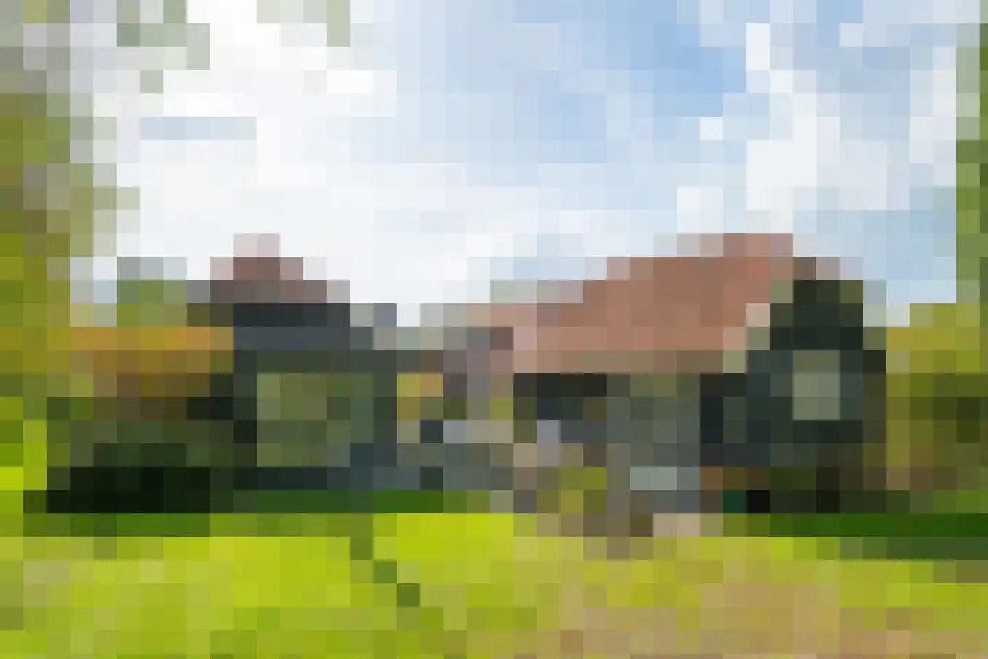 Bielemansdijk 28 Halle thumbnail 62