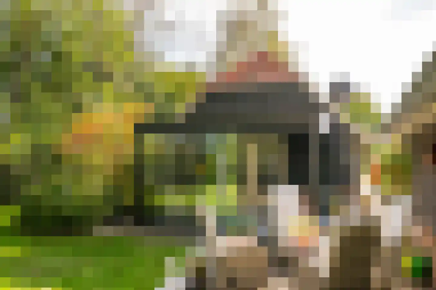 Bielemansdijk 28 Halle thumbnail 63