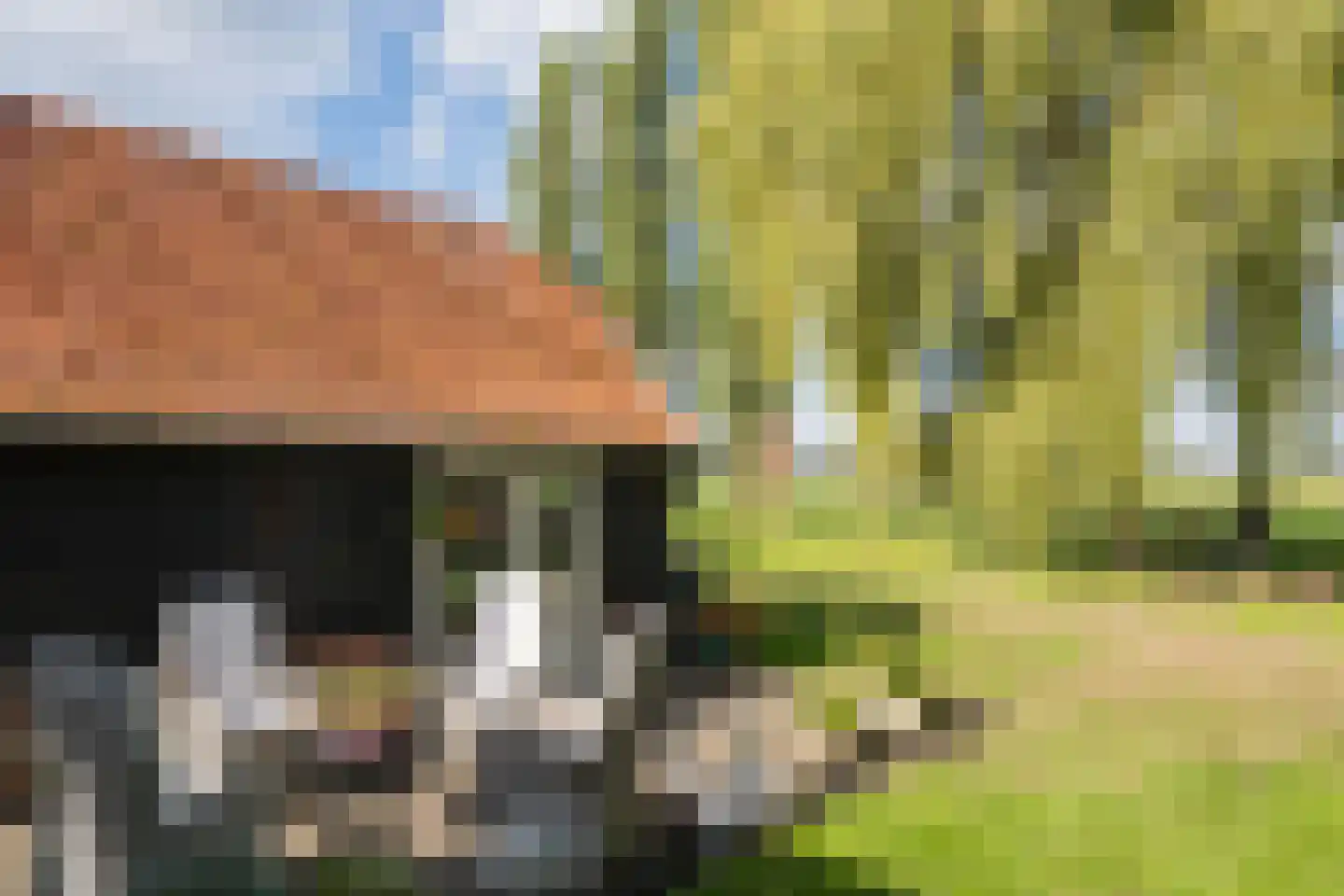 Bielemansdijk 28 Halle thumbnail 64